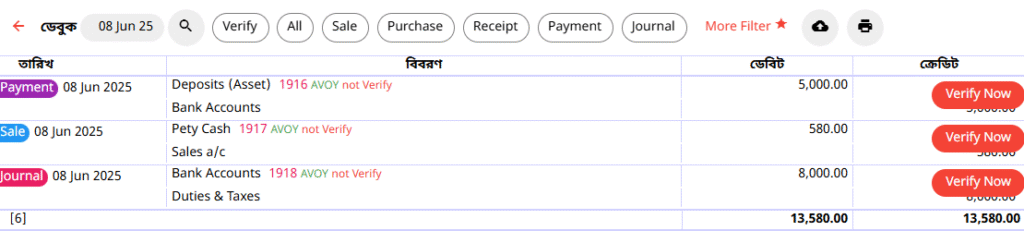 entry verify avoy lenden accounting software
